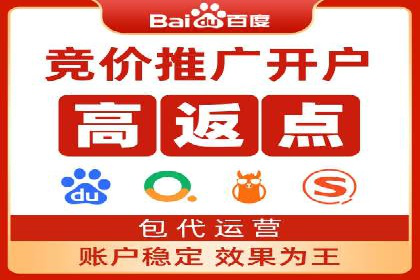 SEM推广策略：实战案例解析